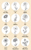 Birth flower chart